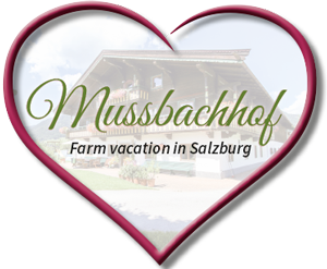 Farm Vacation in Salzburg - in Saalfelden at the Mussbachhof!